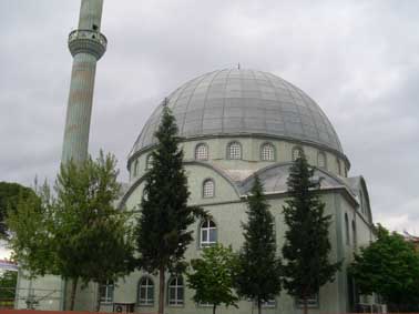 cami hal alt stma
