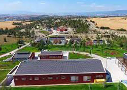 hayvan barna stma , hayvan alttan stma 