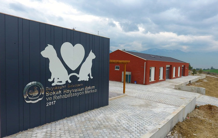 hayvan barna zeminden stma