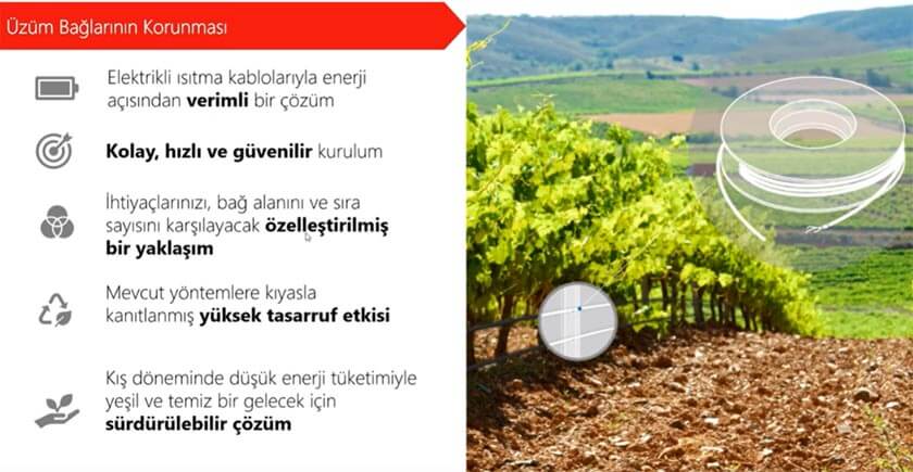 bitki don nleme , zm ba don nleme