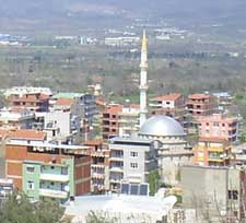 cami stma